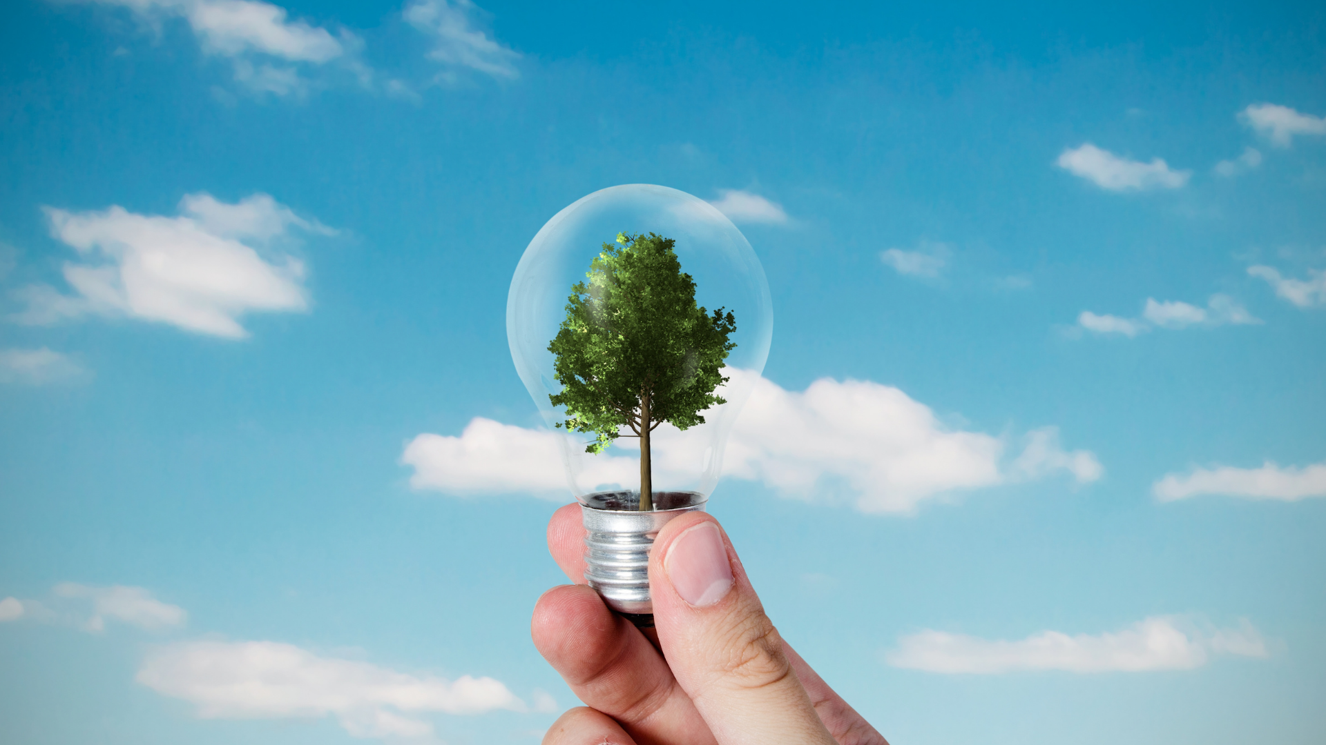 ISO 14064-1 ile GHG Protocol arasındaki farklar
