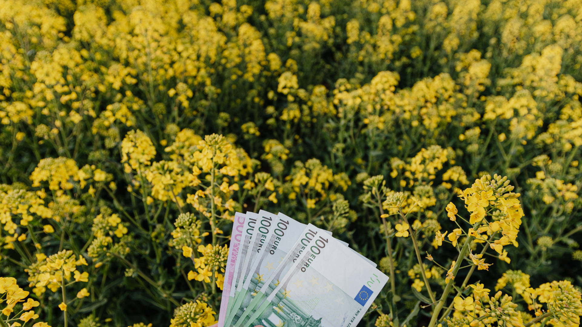 Yenilenebilir enerji yatırımı mı sertifika alımı mı?