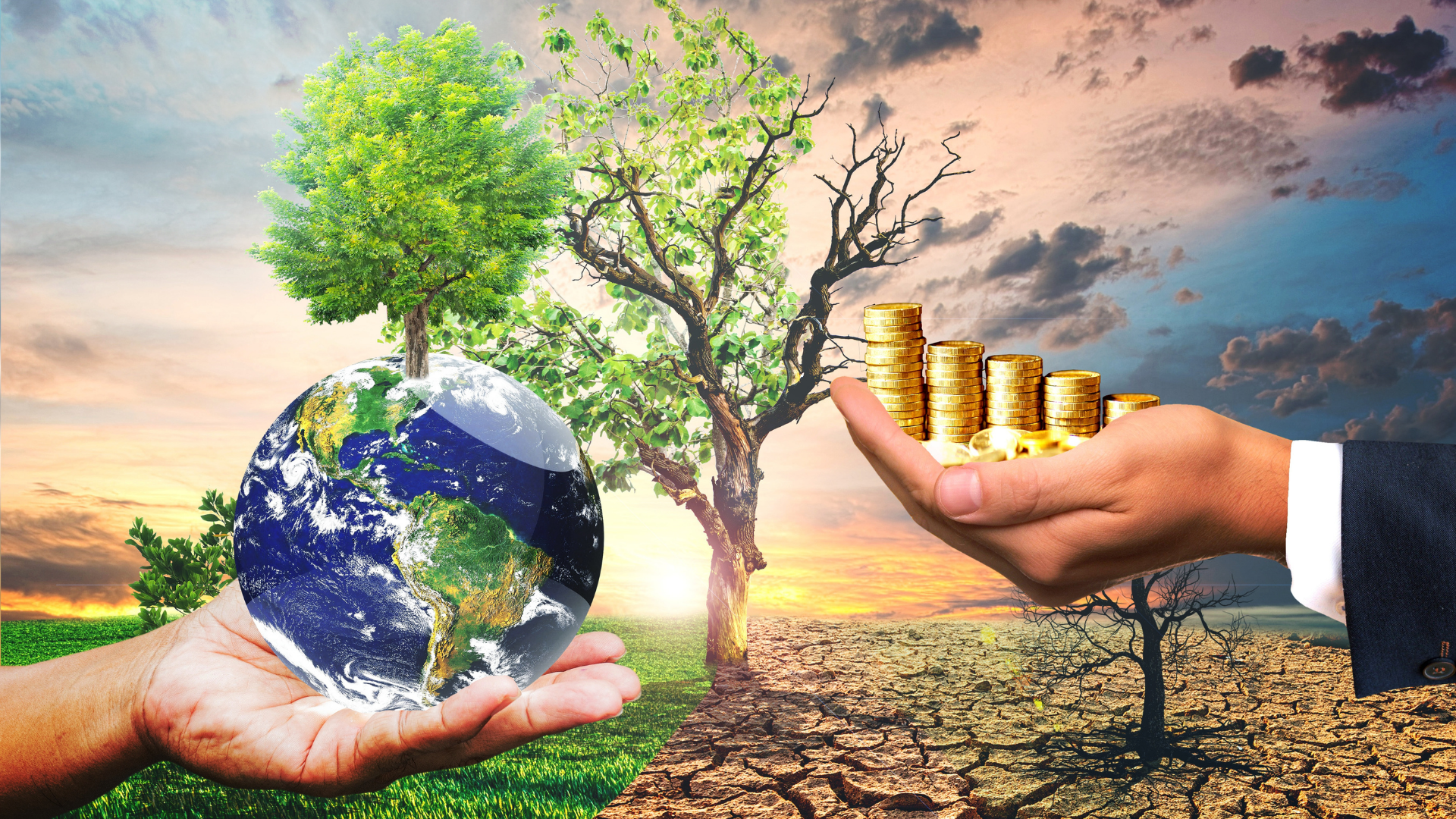 AB sürdürülebilir ürün regülasyonları ihracatçıları nasıl etkiliyor?